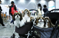 Pharma companies jump into $3 bn pet care market