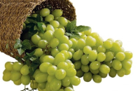 Korean fruits keep high performance despite bad export situation