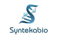 Syntekabio launches new drug development platform STB Cloud in US 
