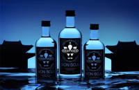 Jay Park's Won Soju ready to land in United States