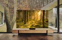 Samsung’s TV business launches customer marketing team