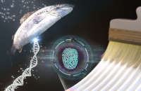 S.Korea's top tech school uses salmon DNA to block art counterfeiting