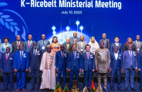S.Korea to launch K-Ricebelt project in Africa