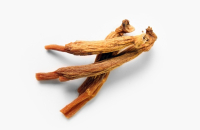 Red ginseng proven to treat drug addiction: Research