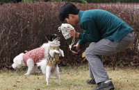 LG Uplus buys pet Airbnb-style startup to boost pet care services