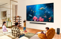 LG Electronics unveils 2024 QNED TV 