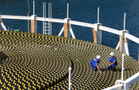 LS Cable's patent victory over Taihan Electric signals further disputes