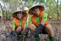 SK Innovation to restore Vietnam’s mangrove forests in ESG initiative